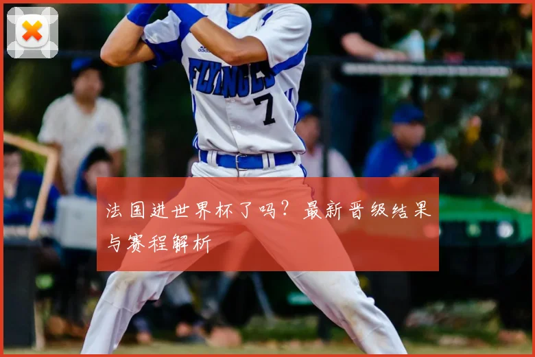 法国进世界杯了吗？最新晋级结果与赛程解析