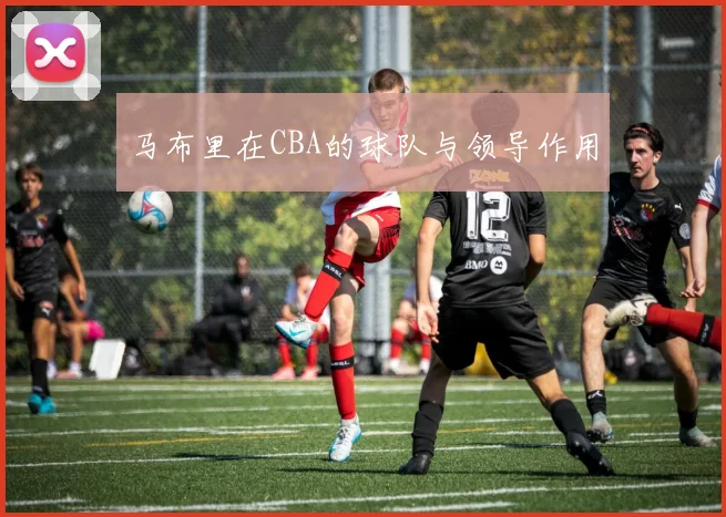 马布里在CBA的球队与领导作用